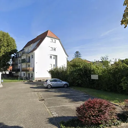 Le Duplex Des Tulipes - Parking Included - * Haguenau