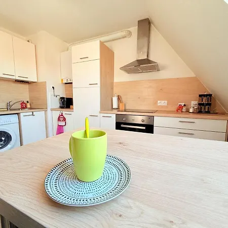 Le Duplex Des Tulipes - Parking Included - Appartamento