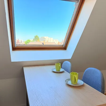 Le Duplex Des Tulipes - Parking Included - Haguenau