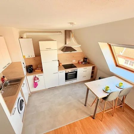 Appartamento Le Duplex Des Tulipes - Parking Included - Haguenau