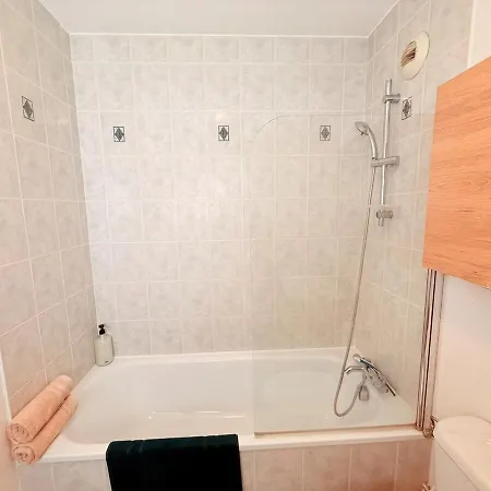 Le Duplex Des Tulipes - Parking Included - * Haguenau